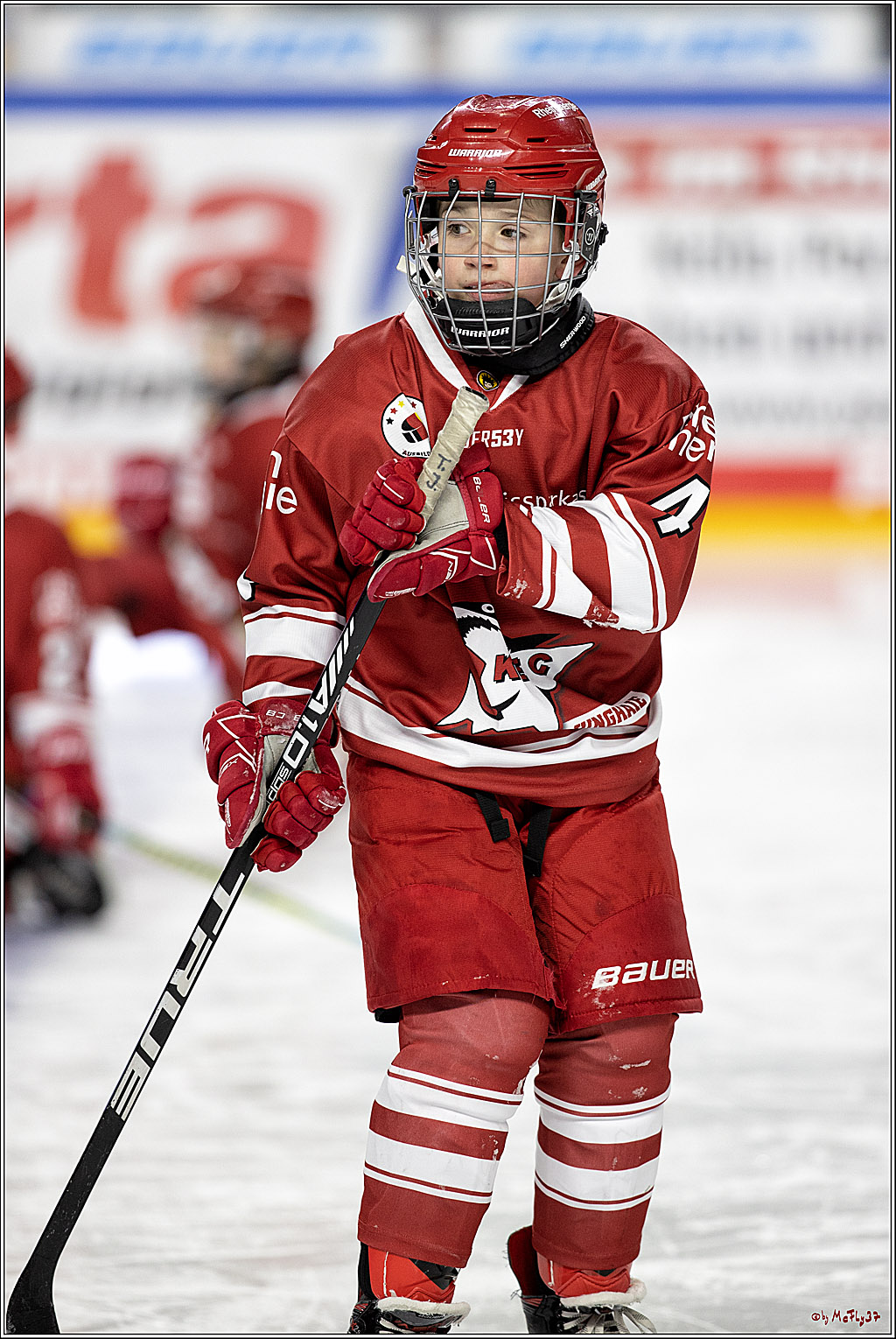 PENNY DEL;  Koelner Haie - Junghaie U9; Koeln, 18.03.2022